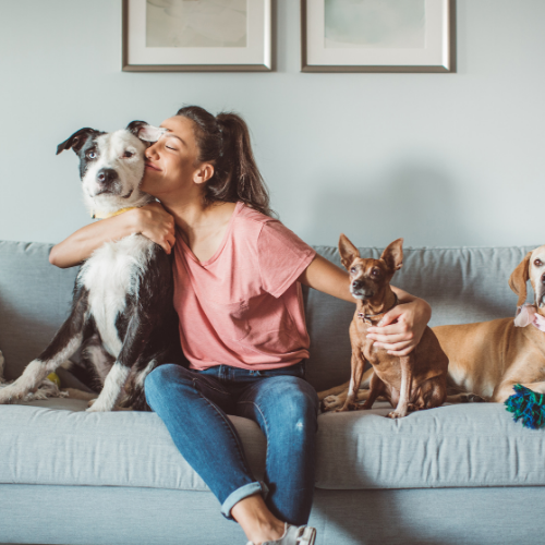 a woman on the couch with three dogs